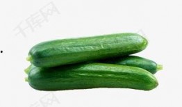 完美吃瓜视频下载,轻松获取热门视频，畅享娱乐盛宴