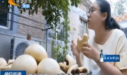 阿瓜吃牛皮的小视频在线观看,惊险刺激的美食冒险