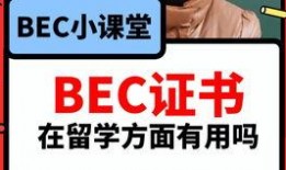 吃瓜协会爆料视频,视频爆料背后的惊人真相