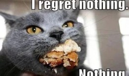 炸弹猫吃瓜视频,揭秘网络红人的幕后故事