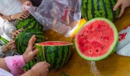 吃瓜中视频,带你领略网络娱乐新风尚