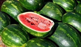 早期网红吃瓜视频大全,那些年我们一起追的“瓜”