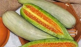 昌乐吃羊蜜瓜视频,甜蜜滋味，视觉盛宴！