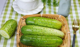 九月可吃秋瓜吗视频播放,揭秘九月秋瓜的食用奥秘