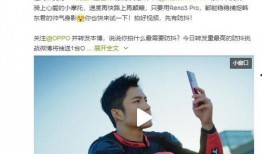 吃瓜群众小悦悦视频全集,一场引发社会关注的吃瓜群众围观事件