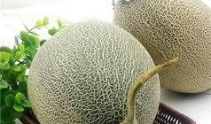 新疆吐鲁番吃哈密瓜视频,甜蜜滋味尽在眼前