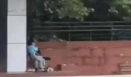 辽宁大学吃瓜视频,揭秘校园生活趣味瞬间