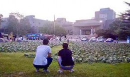 汉中勉县吃瓜事件视频最新,一场网络热议的瓜田风波